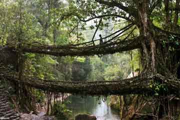 NORTH EAST TOUR PACKAGE