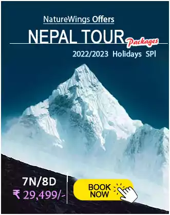 7n 8d nepal tour package from india naturewings - NatureWings
