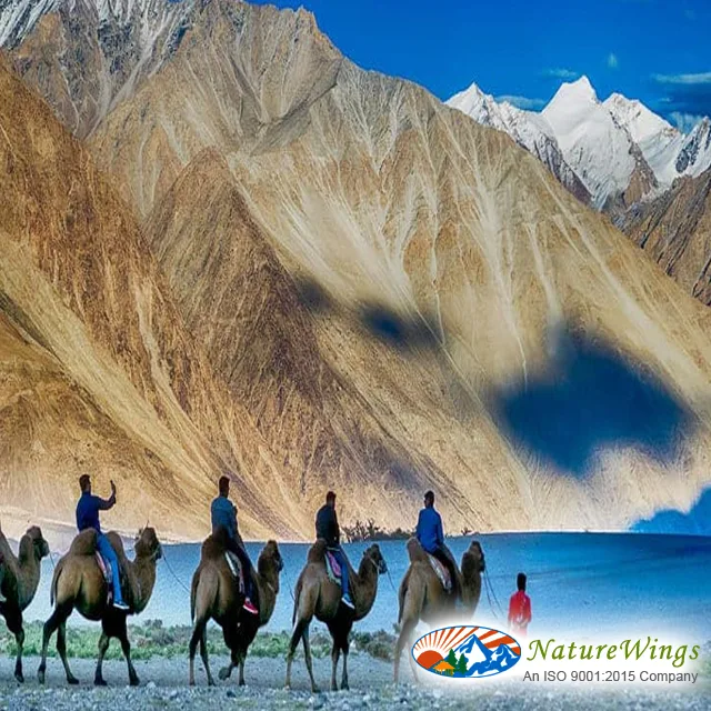 Ladakh Packages From Kolkata