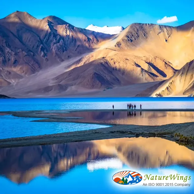 Pangong Lake Ladakh Travel Plan from Kolkata
