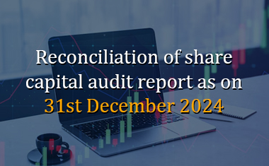 Share Capital Audit Report