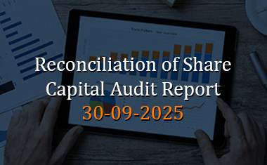 Share Capital Audit Report