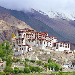 alchi monastery leh tour