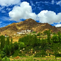 alchi monastery tour