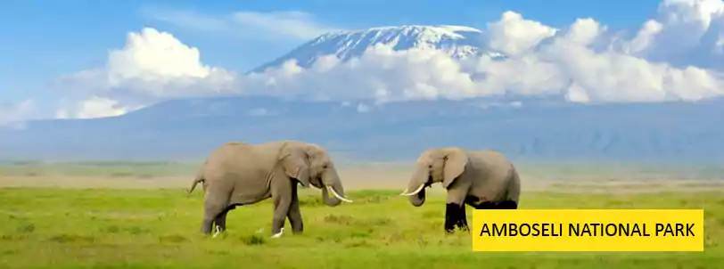 amboseli national park, kenya