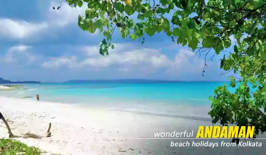 andaman honeymoon package tour booking from kolkata with NatureWings