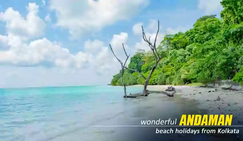 andaman  honeymoon tour package from kolkata with NatureWings