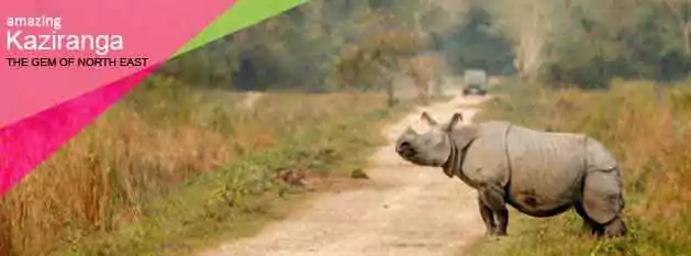 Arunachal Package Tour with Kaziranga National Park, Assam
