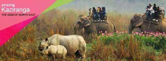 Arunachal Tour Package with Kaziranga National Park, Assam