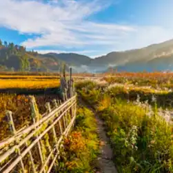 arunachal