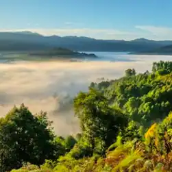 arunachal