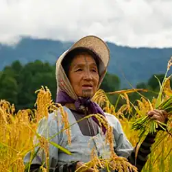 arunachal