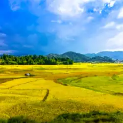 arunachal pradesh pradesh tour booking from Kolkata