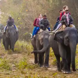 assam arunachal package tour with kaziranga elephant safari