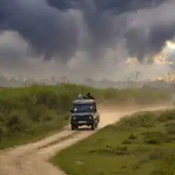 assam arunachal package tour with kaziranga jeep safari