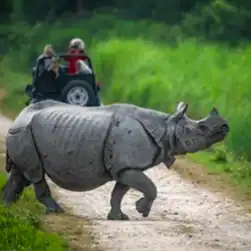 assam kaziranga shillong package tour from guwahati