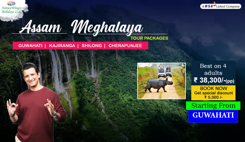 kaziranga shillong cherrapunji package tour from guwahati