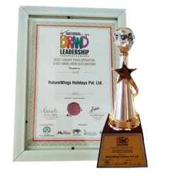 Best luxury tour Operator for Andaman Trip