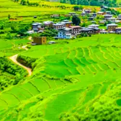 bhutan group holiday from mumbai