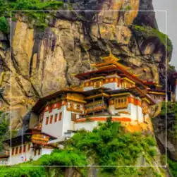 Bangalore to Bhutan Tour Package with NatureWings