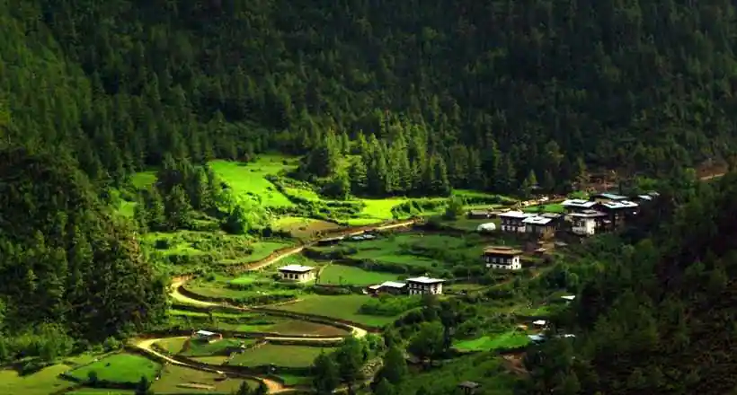 bhutan tour packages from india with naturewings