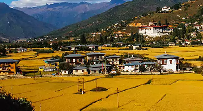 book a bhutan tour in autumn from Ahmedabad with naturewings