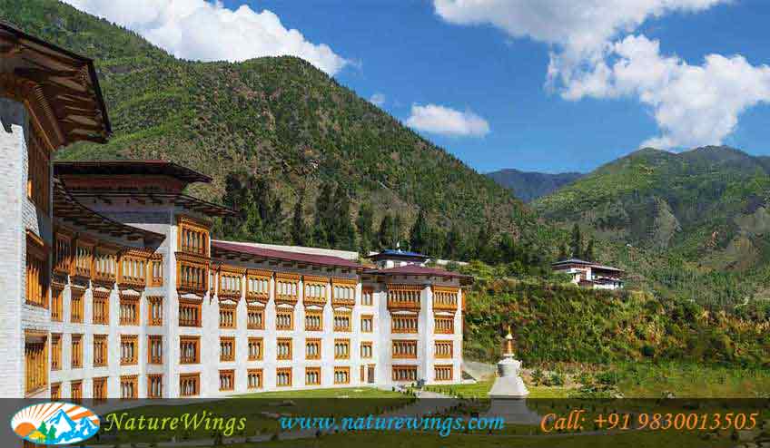 Bliss-of-Bhutan-img