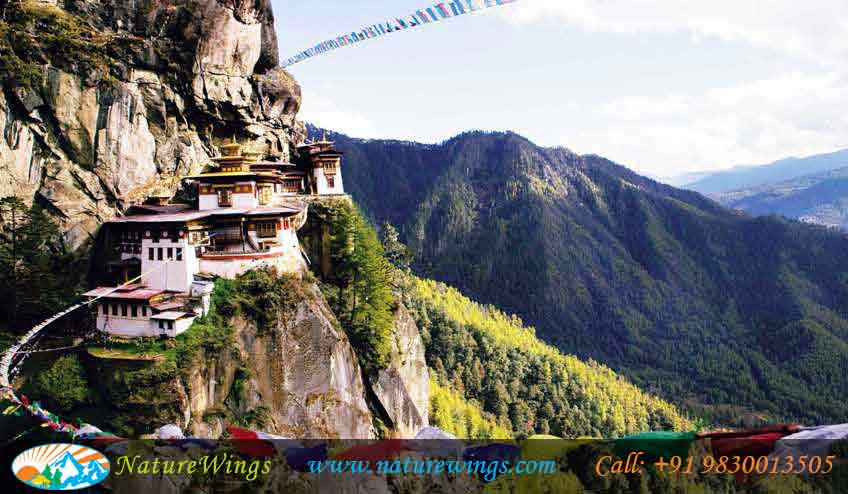 Bliss-of-Bhutan-img