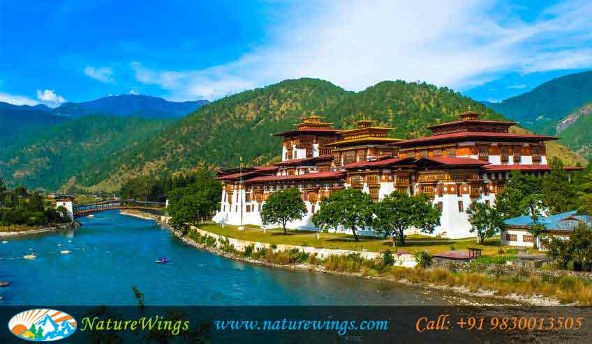 Bliss-of-Bhutan-img