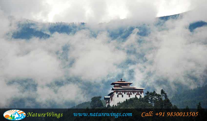 Bliss-of-Bhutan-img