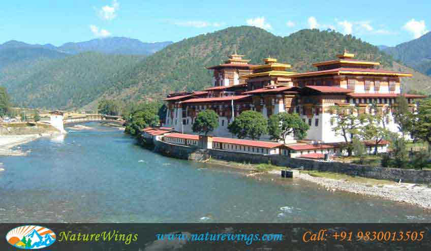 Bliss-of-Bhutan-img