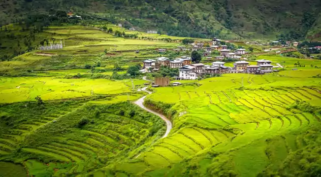 bhutan package tour in summer from bagdogra with naturewings