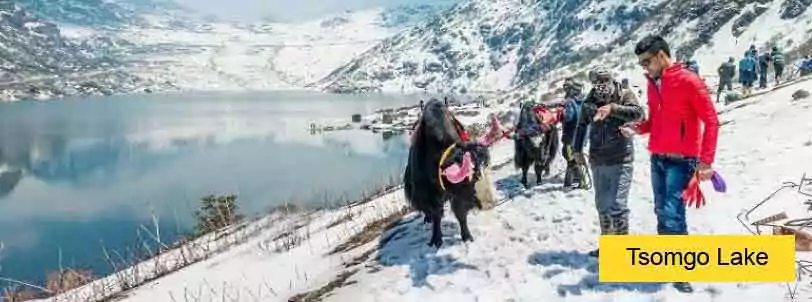 Changu Lake covered under thick snow during Gangtok Darjeeling Package Tour from NJP