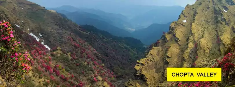 chopta valley north sikkim tour