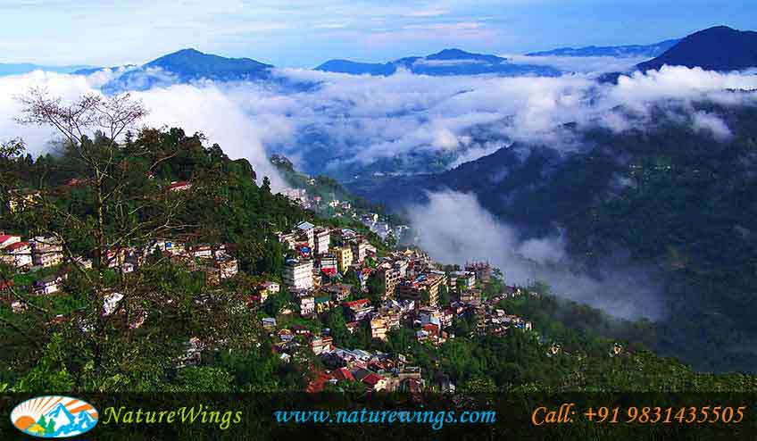 sikkim-darjeeling-img