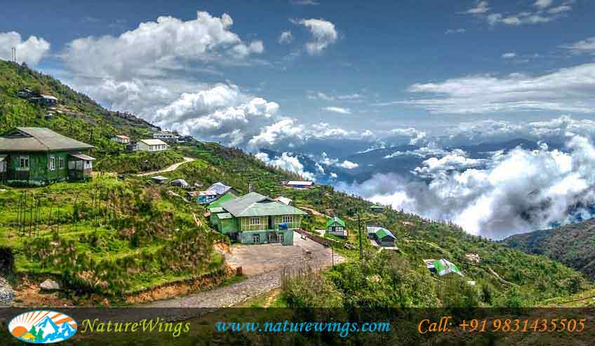 sikkim-darjeeling-img