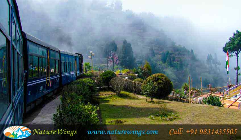 sikkim-darjeeling-img