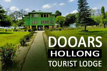 dooars hollong tourist lodge