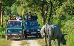 Dooars Package Tour Booking with Jaldapara Elephant Safari