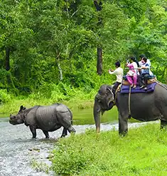 dooars package tour with hollong tourist lodge with with natureWings