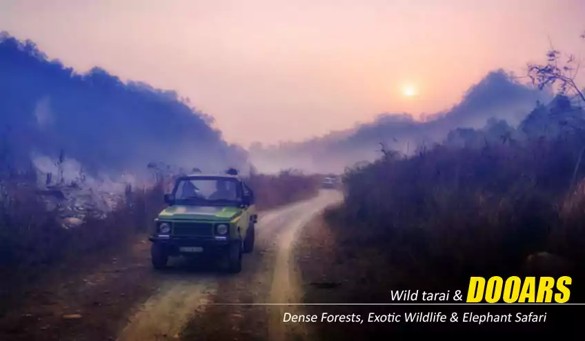 dooars jaldapara chilapata jeep safari with NatureWings