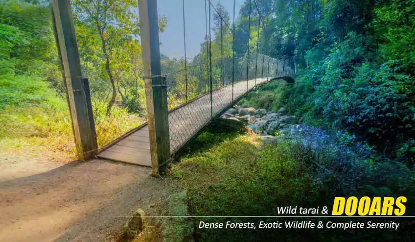 Dooars Package Tour, Dooars Tour Package, Dooars Package Tour from Kolkata - BEST DEAL | BOOK NOW! Dooars Package Tour, Dooars Tour Package, Dooars Package Tour from Kolkata - BEST DEAL | BOOK NOW!