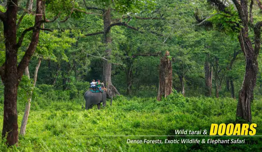 Dooars Package Tour, Dooars Tour Package, Dooars Package Tour from Kolkata - BEST DEAL | BOOK NOW! Dooars Package Tour, Dooars Tour Package, Dooars Package Tour from Kolkata - BEST DEAL | BOOK NOW!