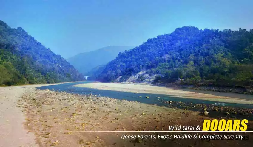dooars tour plan from kolkata with naturewings