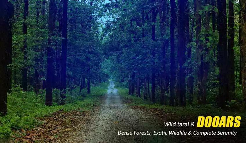 dooars tour package booking from kolkata with elephant safari and jeep safari
