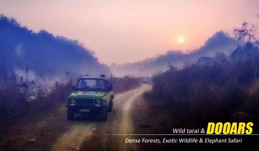 jaldapara jeep safari booking cost with NatureWings