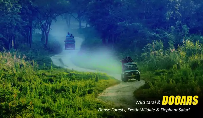 jaldapara jeep safari booking with NatureWings