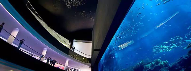 dubai aquarium tour from Kolkata, India
