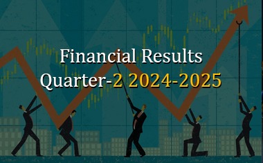 Financials Summery NatureWings