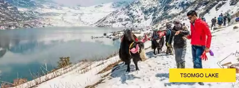 gangtok tour package with tsomgo lake